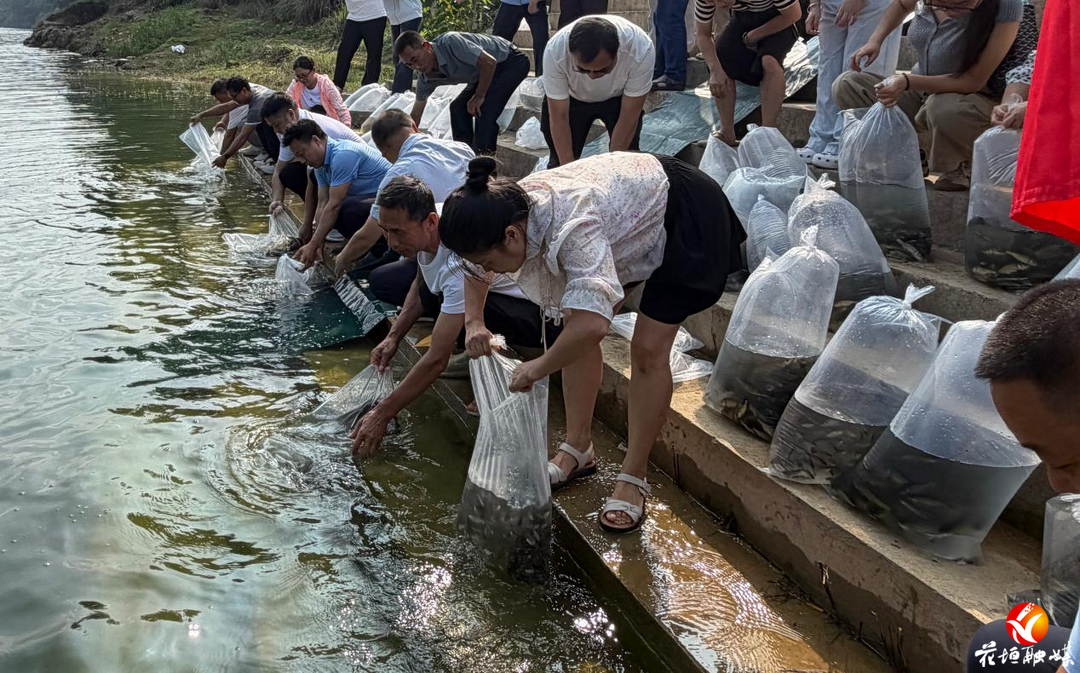 花垣县开展水生生物增殖放流，80万尾鱼苗投放重点水域