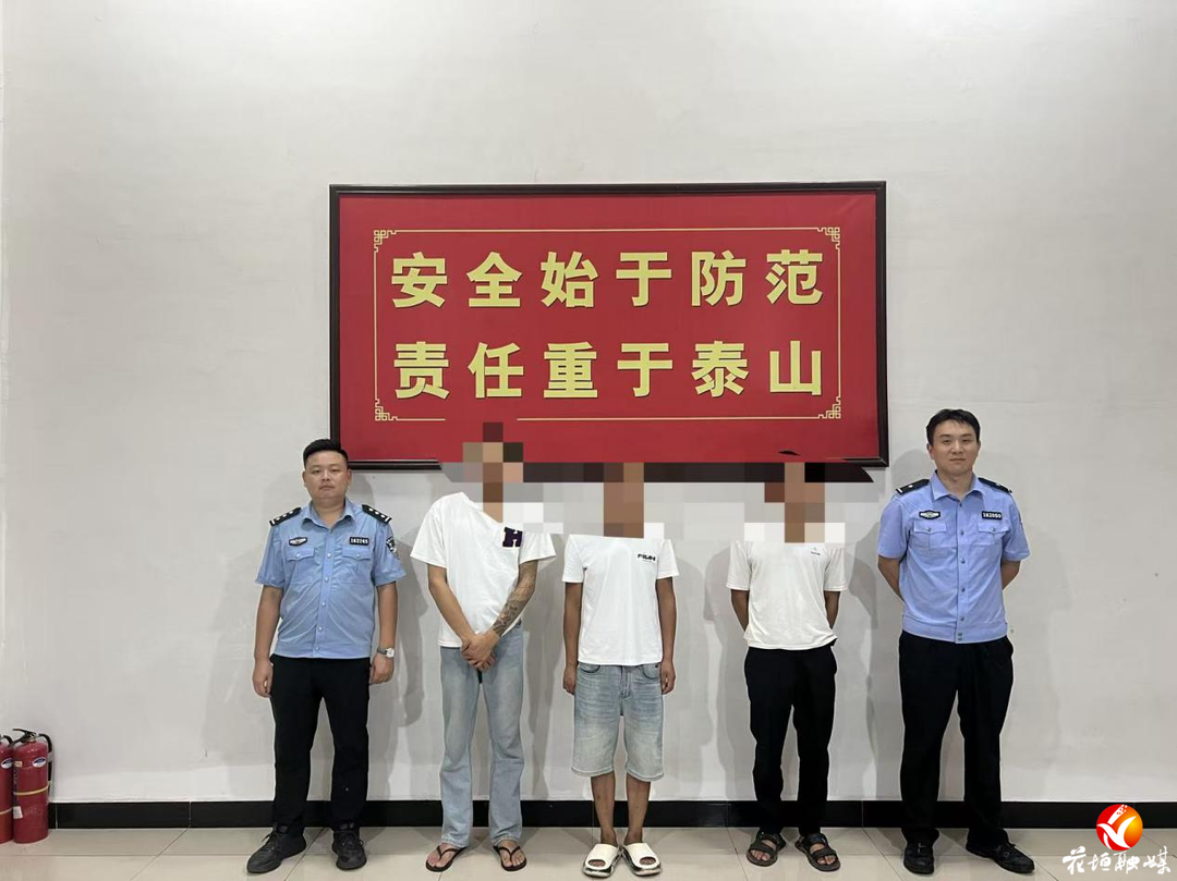 饭后嘴馋偷3只鹅？结局来了！