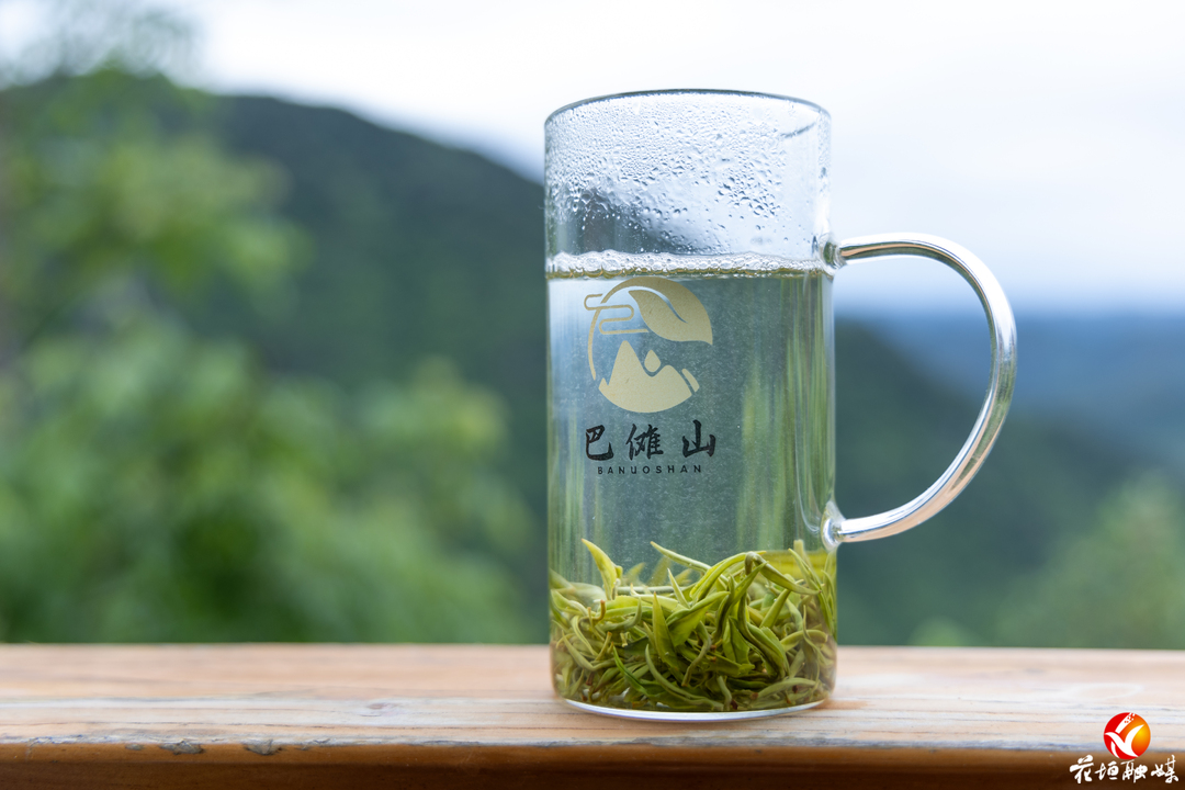 喜报！花垣巴傩山“傩山翠芽”斩获2026世界绿茶评比会最高金奖