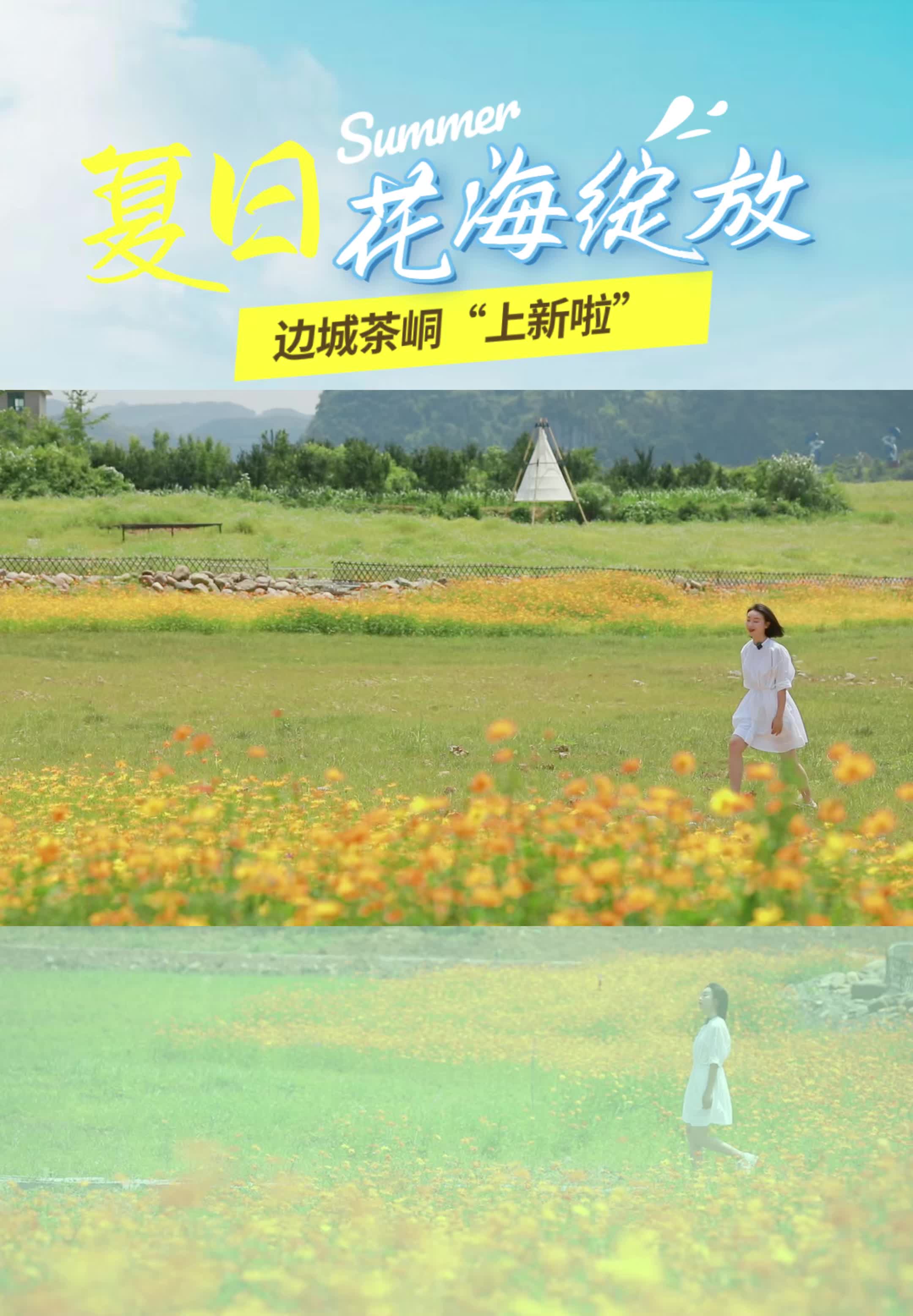 夏日“花海”绽放！花垣边城茶峒景区“上新”啦